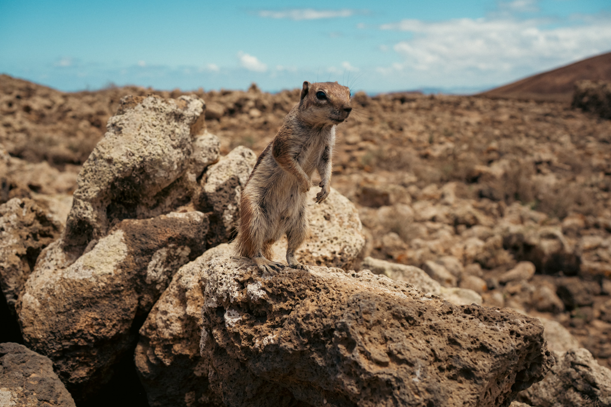 Fotografía Galería 2 23